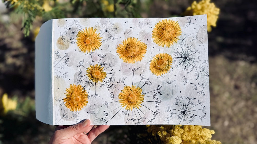 Illustration faite à la main représentant des pissenlits séchés collés sur une feuille, entourés de dessins à l'encre noire représentant des graines de pissenlit en vol.